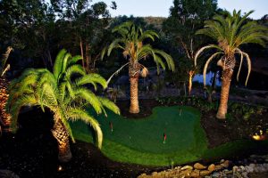 Поддельный грин в Perth Garden