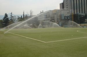 Китай