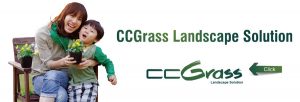 CCGrass ландшафтное решение