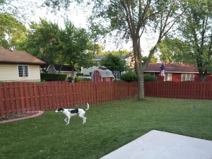 CCGrass, искусственная трава для собак, трава для домашних животных