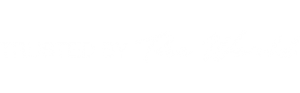 На главную