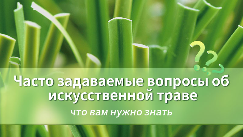 Часто задаваемые вопросы об искусственной траве – что вам нужно знать