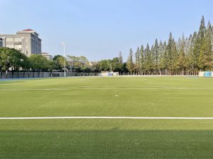 Lishui No.1 Junior Middle School of Nanjing (China)