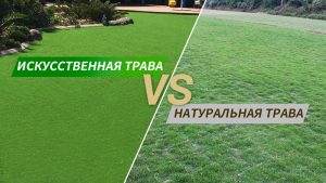 Искусственная трава vs. Натуральная трава