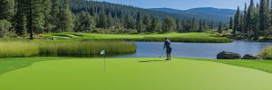 putting-green-banner