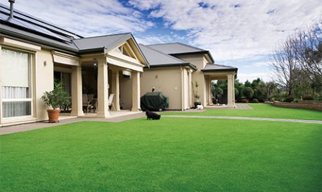 Landscape-Turf-Solutions Landscape-Turf-Solutions
