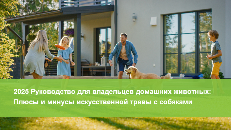 2025 Руководство для владельцев домашних животных: Плюсы и минусы искусственной травы с собаками