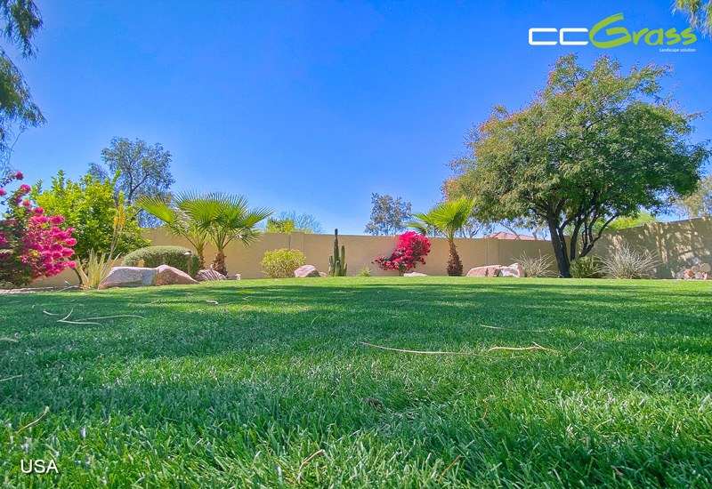 CCGrass, искусственный газон для заднего двора
