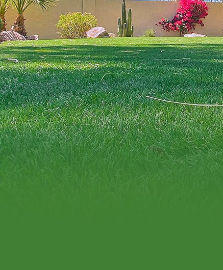 Residential Residential