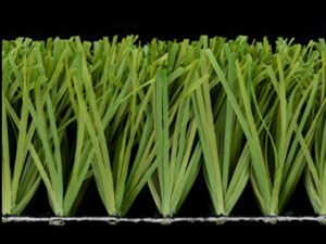 Stemgrass