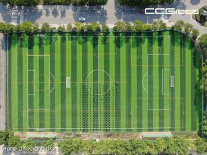 CCGrass, универсальная школьная площадка