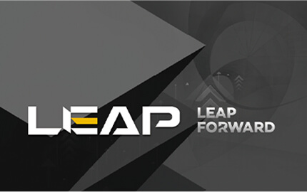 Leap-–-100-Non-Infill-System
